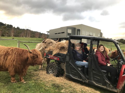 Highland Getaway - Tourism Brisbane 0