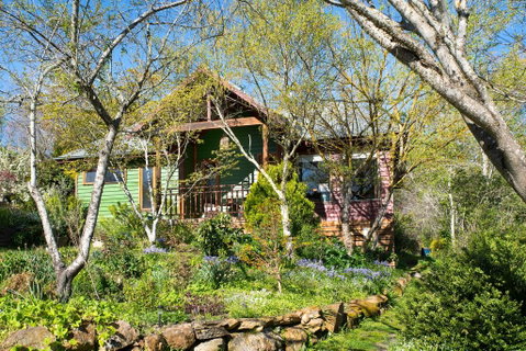 Hills End Iris - Brisbane Tourism 1