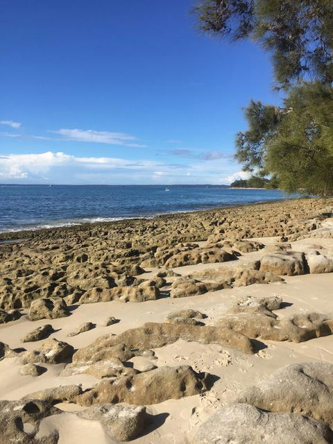 Jervis Bay Magic Vincentia South Coast - Brisbane Tourism 0