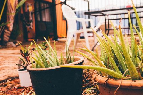 JJs Backpackers Hostel - Brisbane Tourism 2