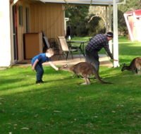 Kalgan River Chalets and Caravan Park - Tourism Brisbane