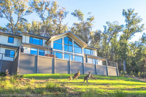 Kangaroo Lodge - Brisbane Tourism 1