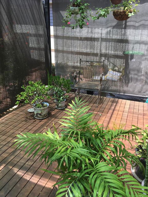 Kats BnB - Tourism Brisbane 1