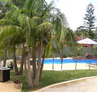 Koala Tree Motel - Brisbane Tourism