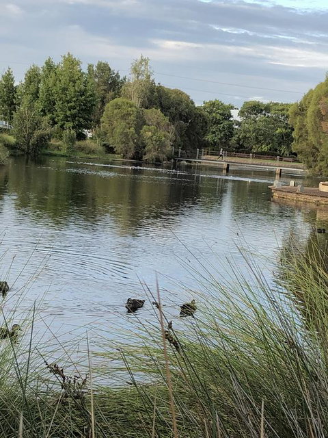 Lakeside On Boardwalk - Brisbane Tourism 1