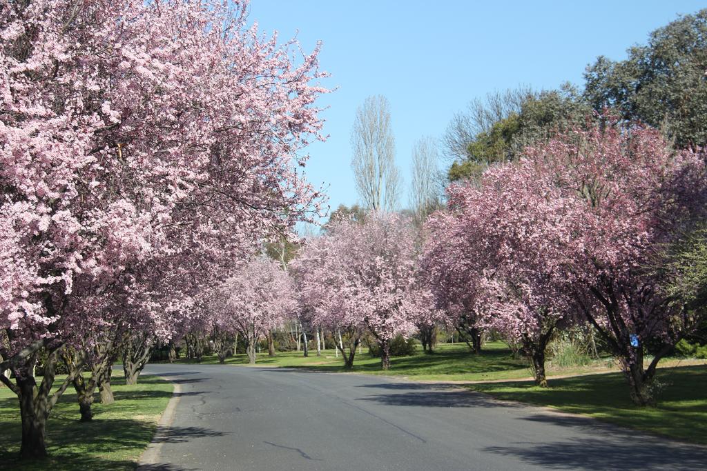 Kelso NSW Tourism Brisbane