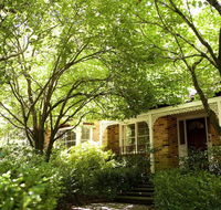 Leura Camellias - Tourism Brisbane