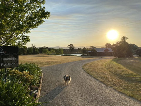 Lilies Luxury Retreats - Brisbane Tourism 3
