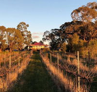 Lillicur Vineyard BB - Tourism Brisbane