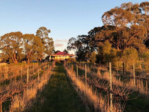 Lillicur Vineyard B&B - Tourism Brisbane 0