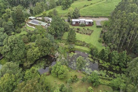 Lilypad Luxury Cabins - Tourism Brisbane 3