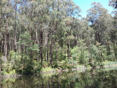 Lyrebird Gully Retreat - Brisbane Tourism 2