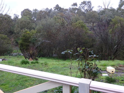 Mandall Avenue - Tourism Brisbane 1