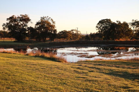 Maric Park Cottages - Brisbane Tourism 2