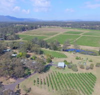 McCaffrey's Estate - Tourism Brisbane