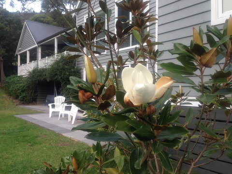 McCrae Lodge - Brisbane Tourism 1