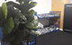 Melbourne Hostel - thumb 2