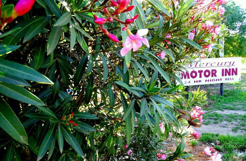 Mercury Motor Inn - Tourism Brisbane 0