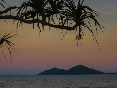 Mission Beach Hideaway Holiday Village - Tourism Brisbane 1