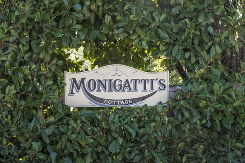 Monigatti - Brisbane Tourism 1