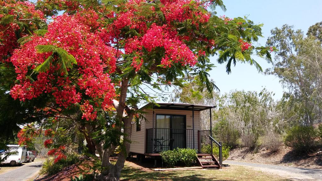 Ambrose QLD Tourism Brisbane