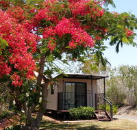 Mt Larcom Tourist Park - Tourism Brisbane