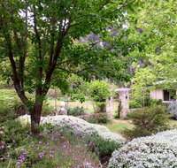 Naturescape - Tourism Brisbane