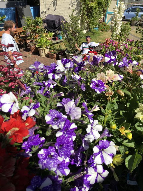 1849 Backpackers Albany - Tourism Brisbane 15