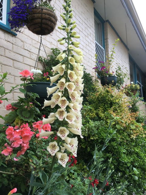 1849 Backpackers Albany - Tourism Brisbane 32