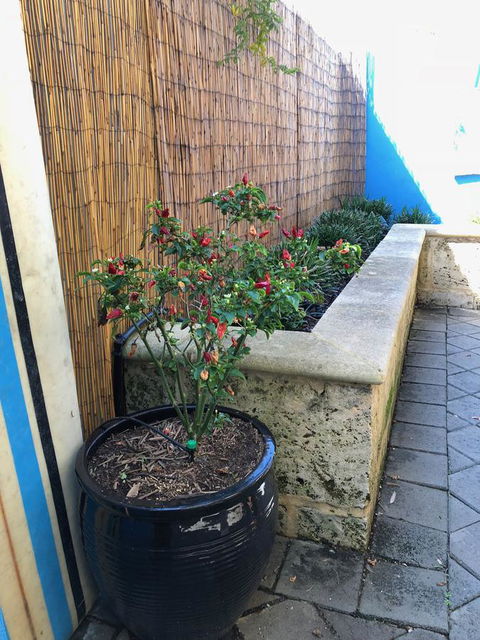 BeachHideaway@Scarborough - Tourism Brisbane 33
