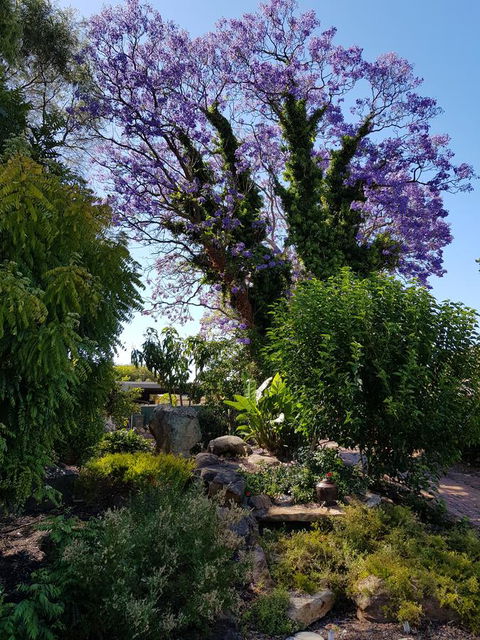 Jacaranda Hideaway Bed & Breakfast - Brisbane Tourism 10