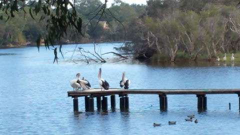 Jacaranda Hideaway Bed & Breakfast - Brisbane Tourism 18