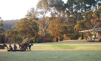 Book Walpole Accommodation Vacations Tourism Brisbane Tourism Brisbane