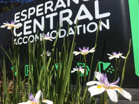 Esperance Central Accommodation - Tourism Brisbane 0
