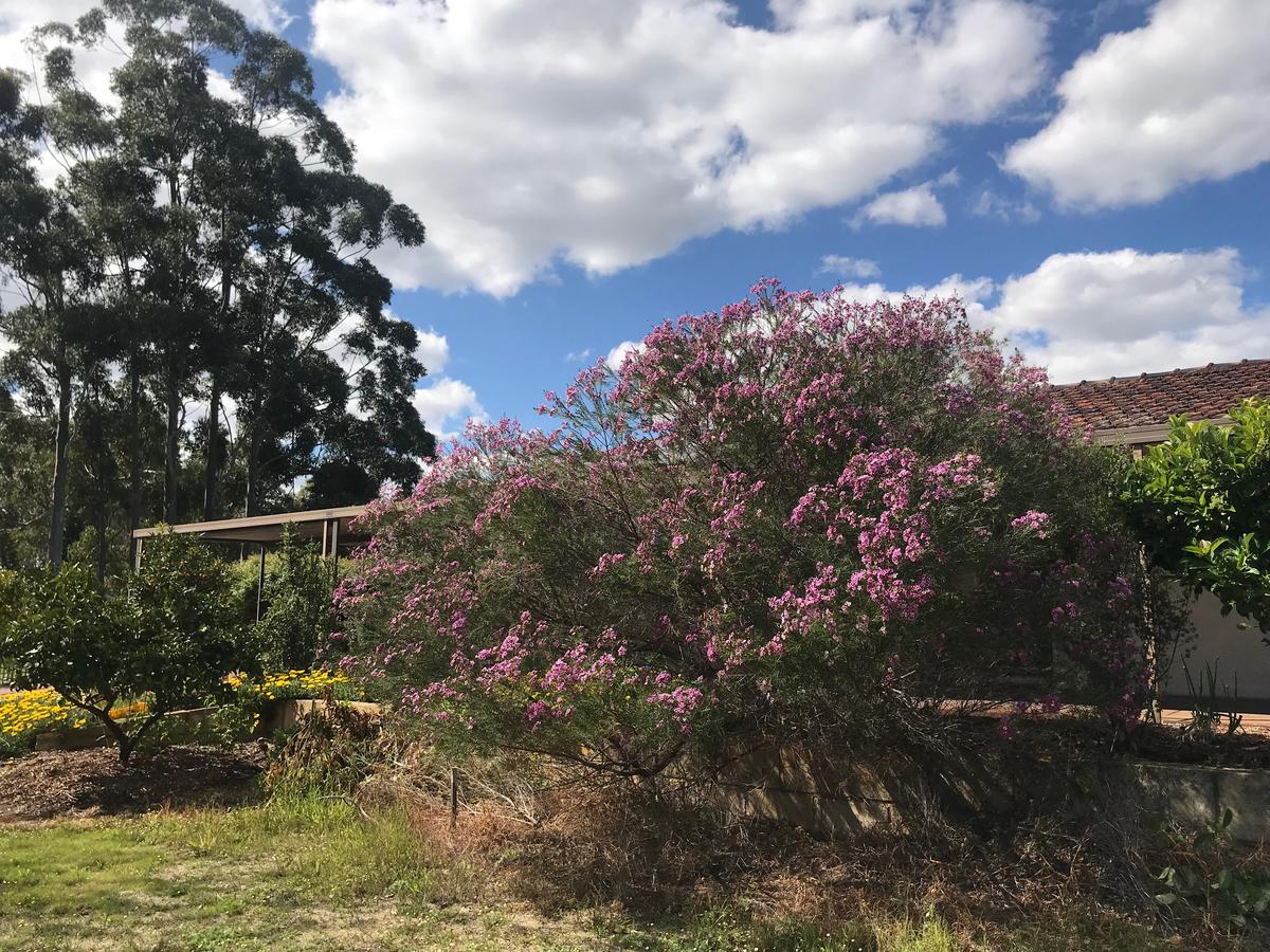 Aubin Grove WA Tourism Brisbane