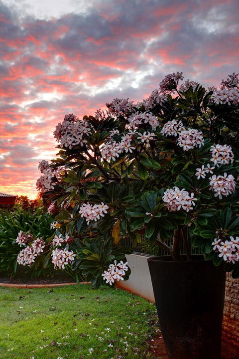 Mantra Frangipani Broome - Tourism Brisbane 35