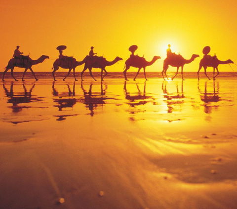 Mantra Frangipani Broome - Tourism Brisbane 6