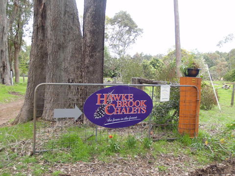 Hawke Brook Chalets - Tourism Brisbane 10