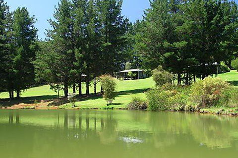 Hawke Brook Chalets - Tourism Brisbane 2