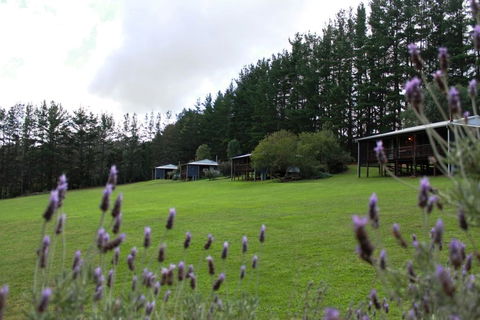 Hawke Brook Chalets - Tourism Brisbane 1