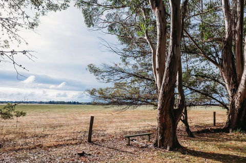 Margaret River Holiday Cottages - Brisbane Tourism 22
