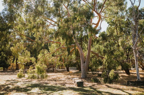 Margaret River Holiday Cottages - Brisbane Tourism 16