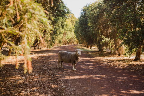 Margaret River Holiday Cottages - Brisbane Tourism 21