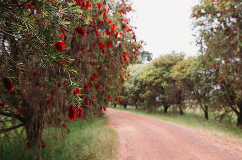 Margaret River Holiday Cottages - Brisbane Tourism 17
