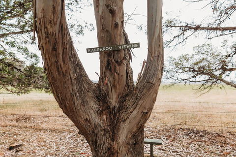 Margaret River Holiday Cottages - Brisbane Tourism 20