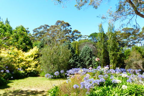 Innisfree Mountain Retreat - Tourism Brisbane 1