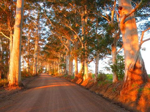 Innisfree Mountain Retreat - Tourism Brisbane 10
