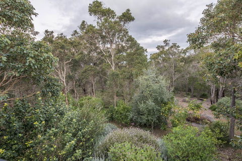 A Hidden Bush Delight - Tourism Brisbane 7