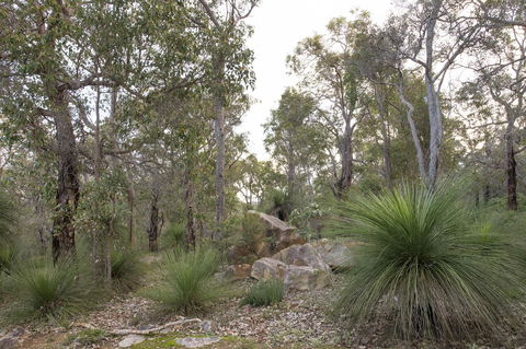 A Hidden Bush Delight - Tourism Brisbane 23