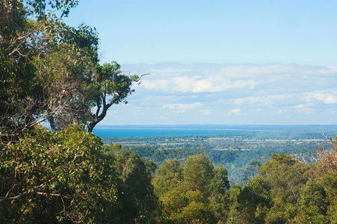 A Hidden Bush Delight - Tourism Brisbane 31